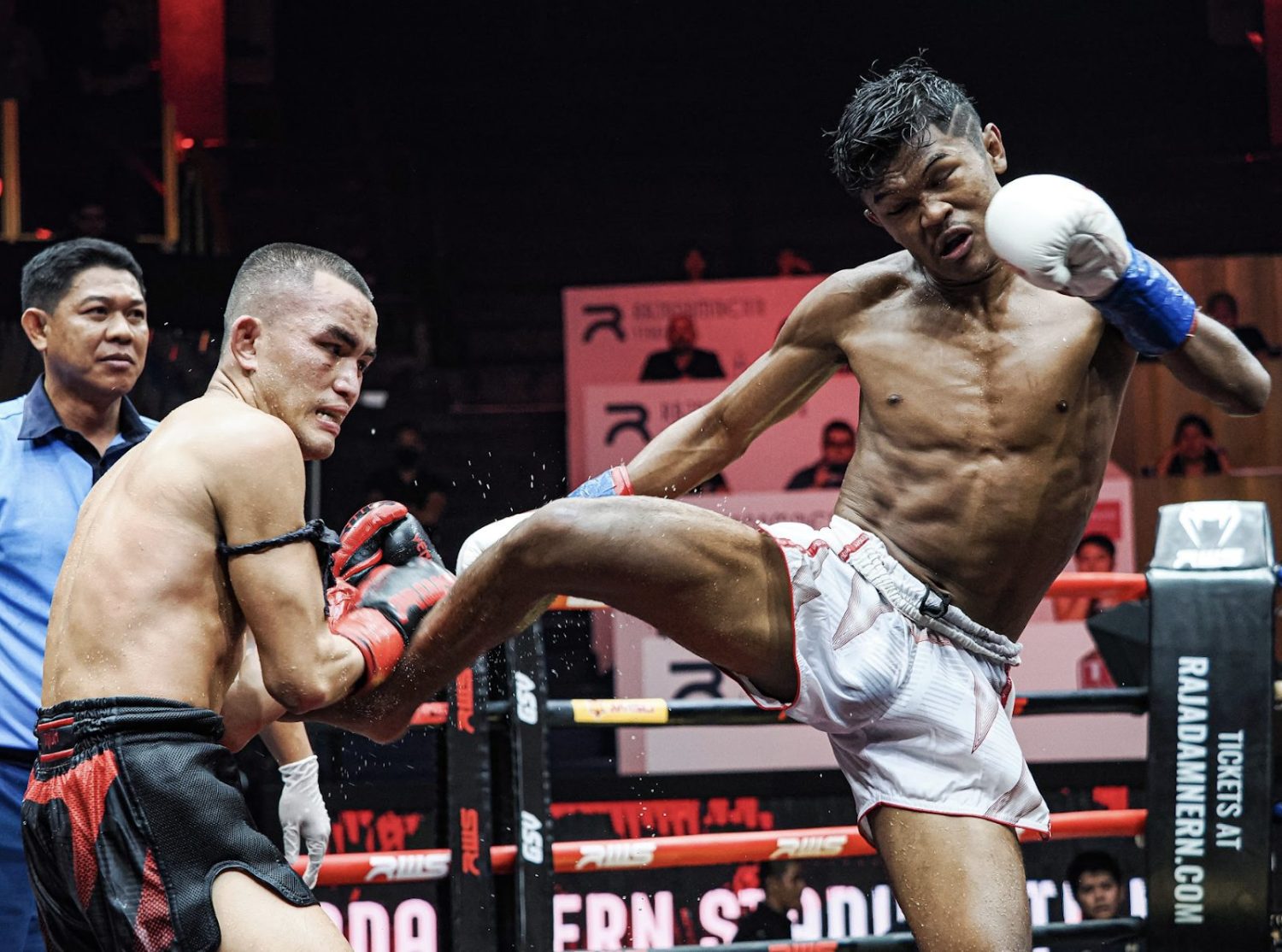 Muay Thai Kicks technique