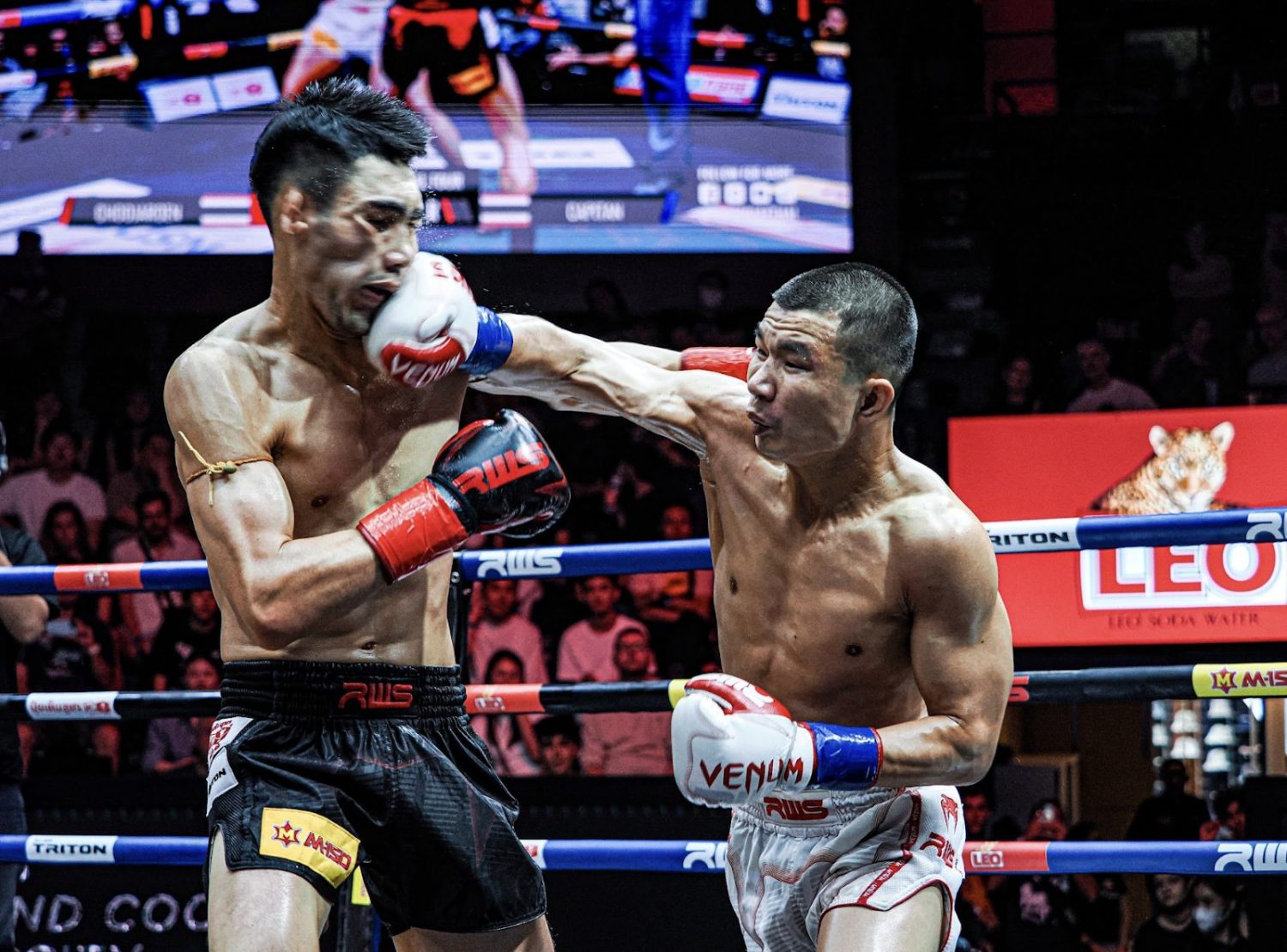 Muay Thai Punches technique