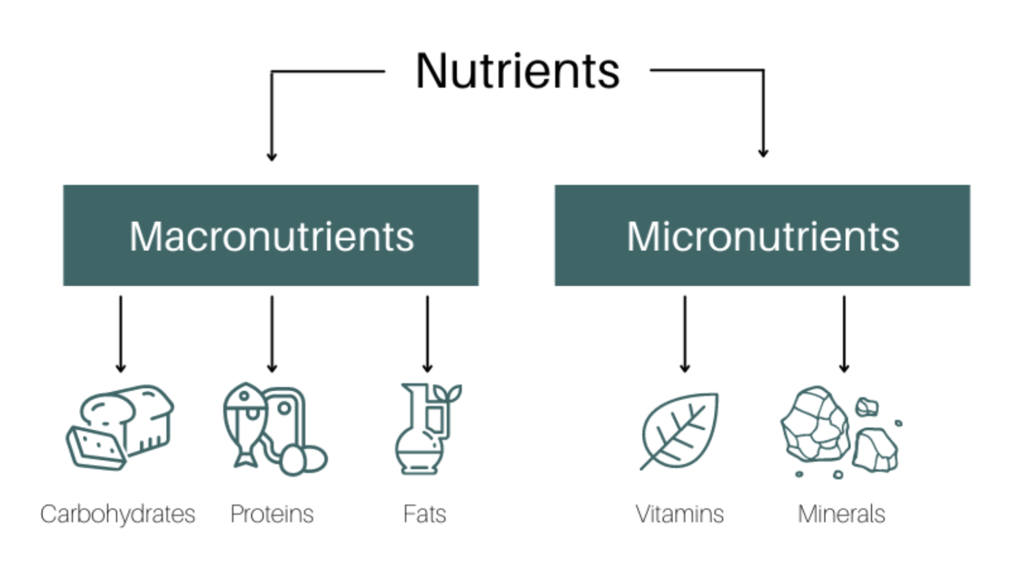 Muay Thai Fighters diet