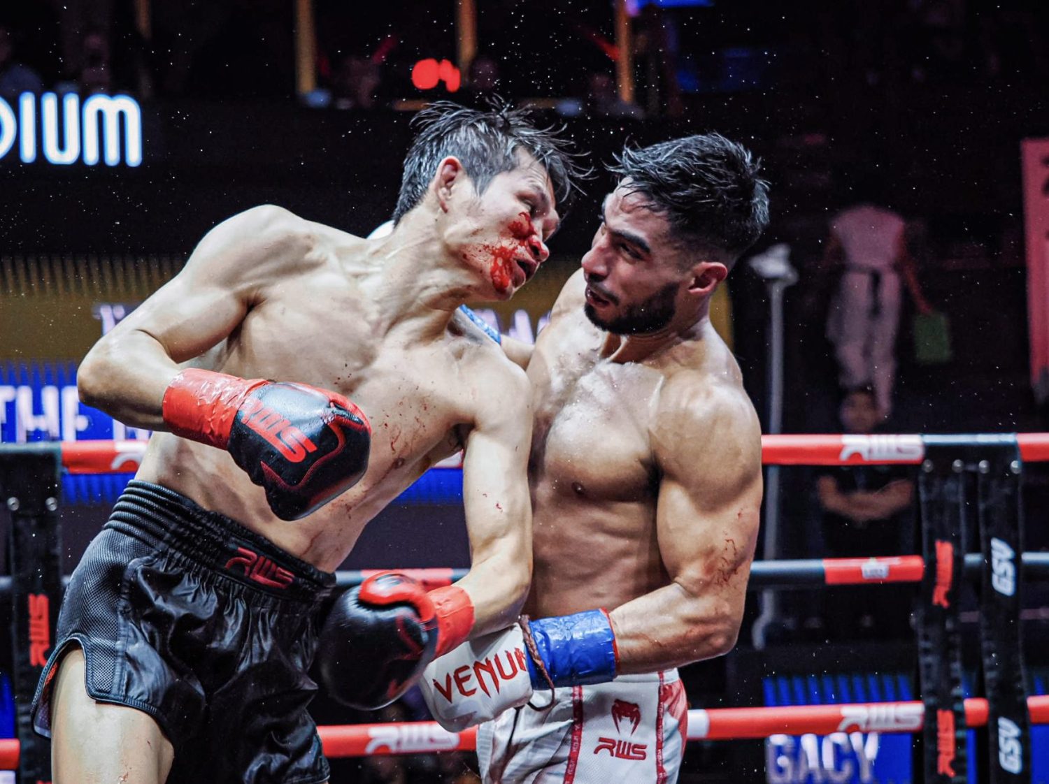 Muay Thai and combat sports' dangers