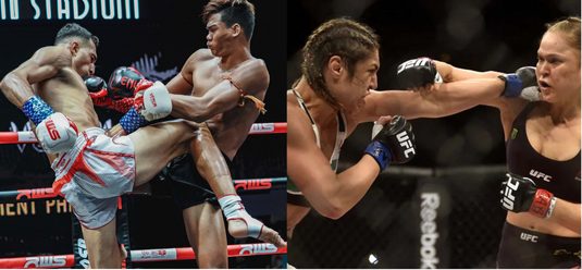 MMA vs Muay thai