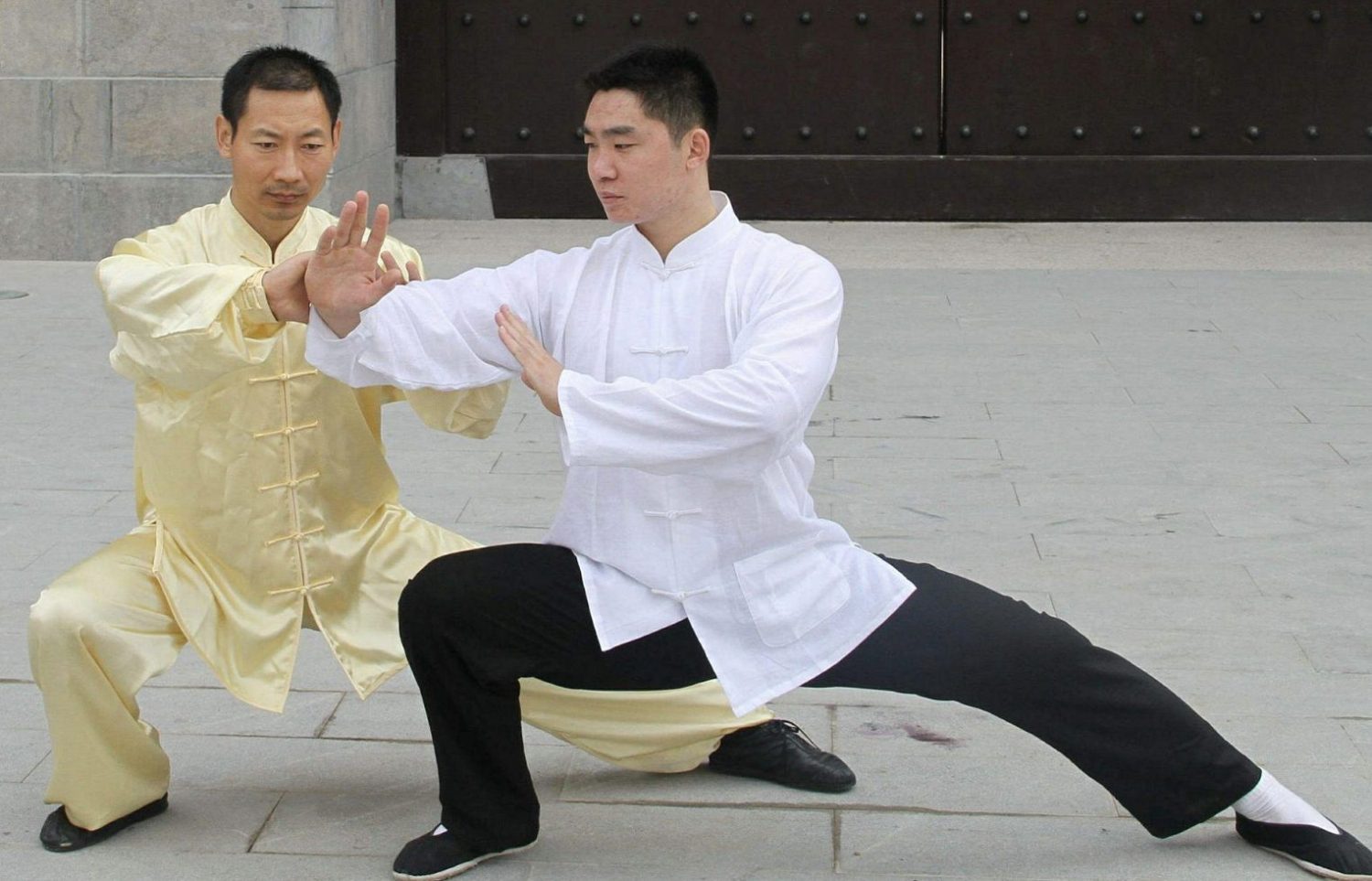 Kung Fu techniques