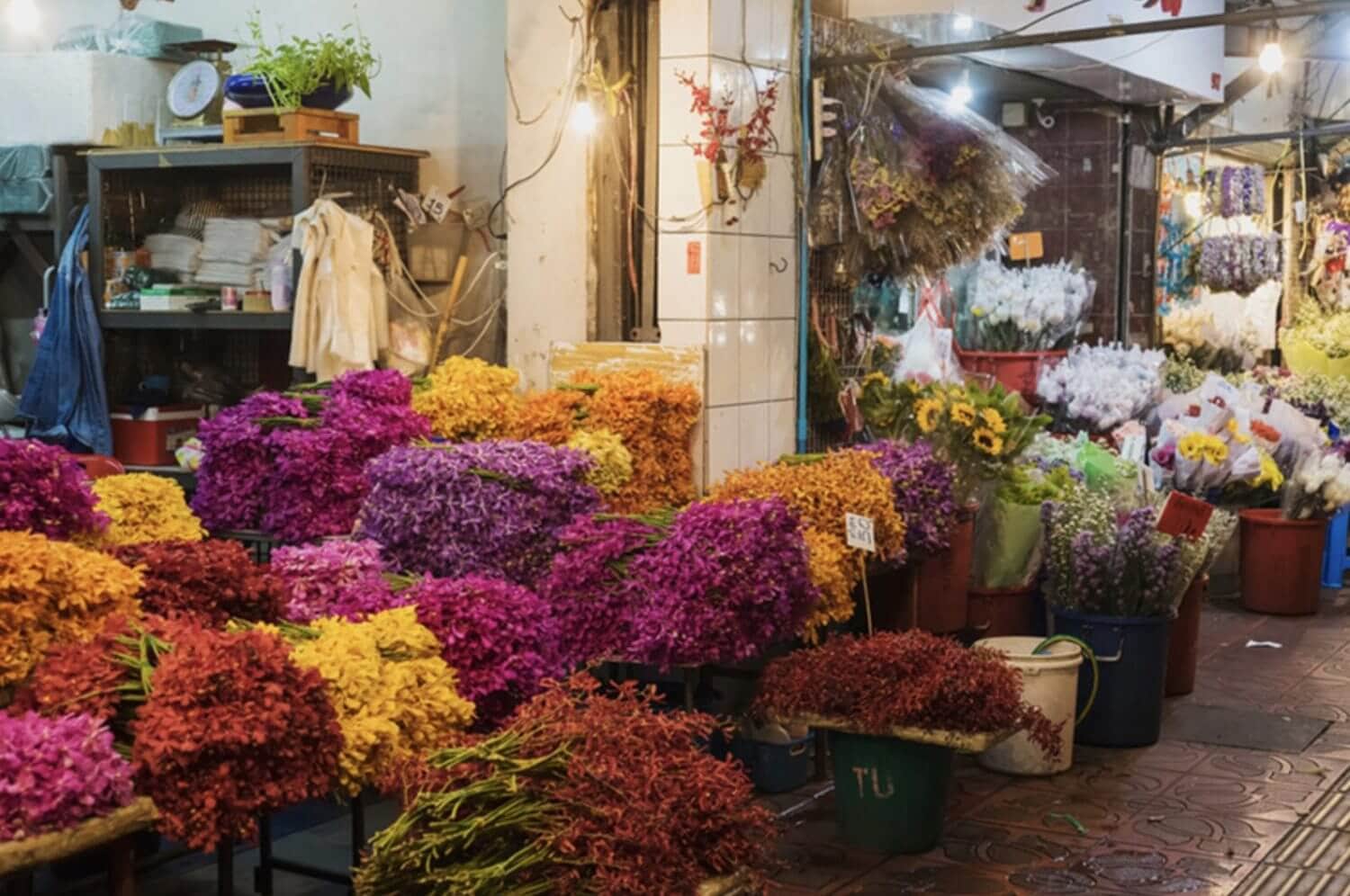 Visit flower market in Bangkok