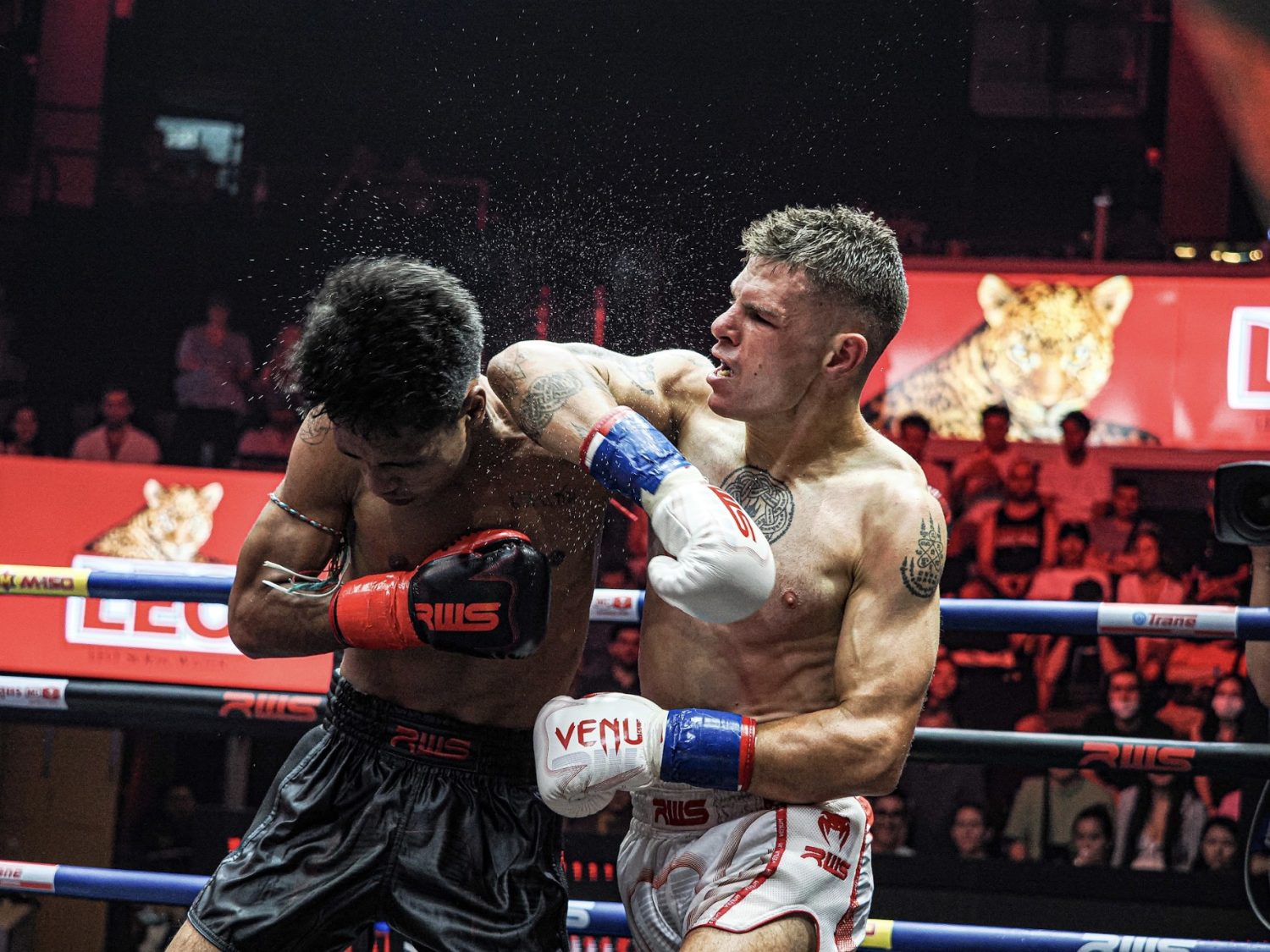 Muay Thai training for beginners