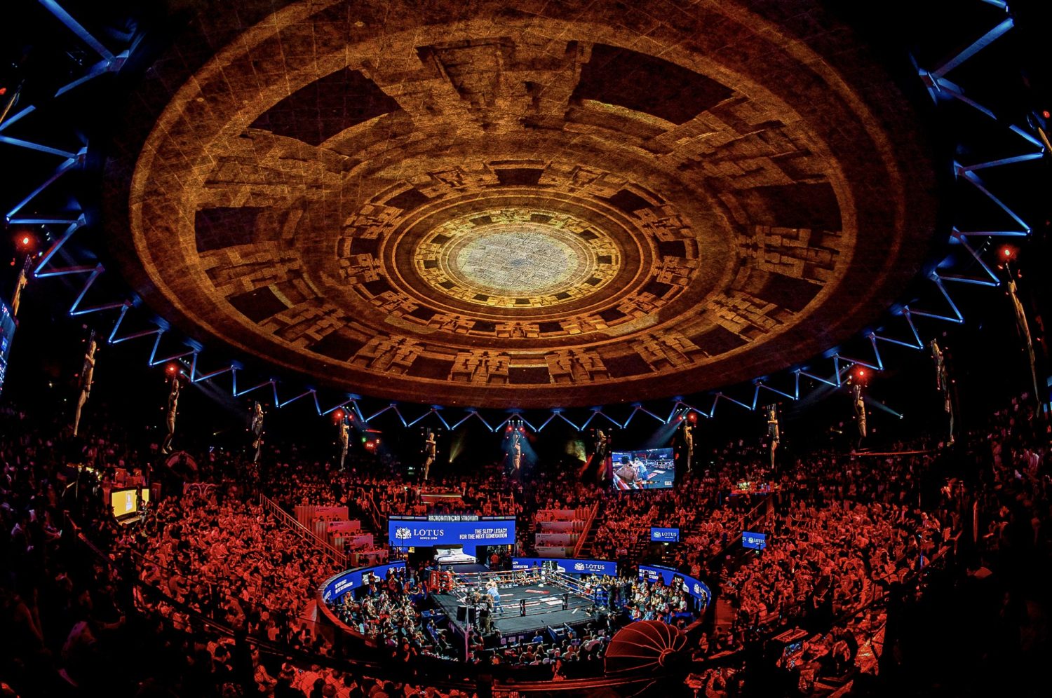 Experience the Thrill of Live Muay Thai Matches